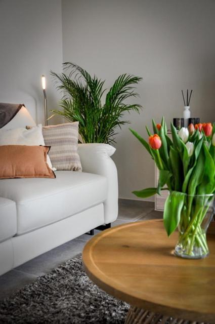 Apartmán Colette *